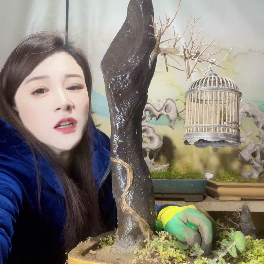 校***长无花朵太累了困哦我哦