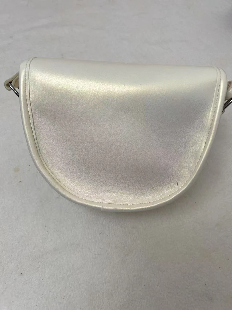 B67 蛇年新款女士小众百搭精品单肩