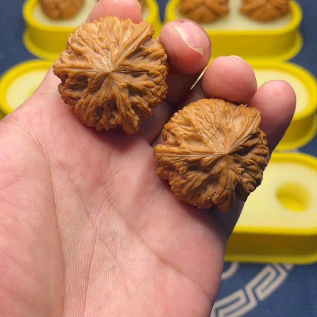 朱***板核桃手串/手链玉龙粗筋全品