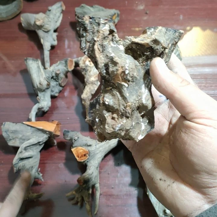 李***）大果紫檀（缅甸花梨）