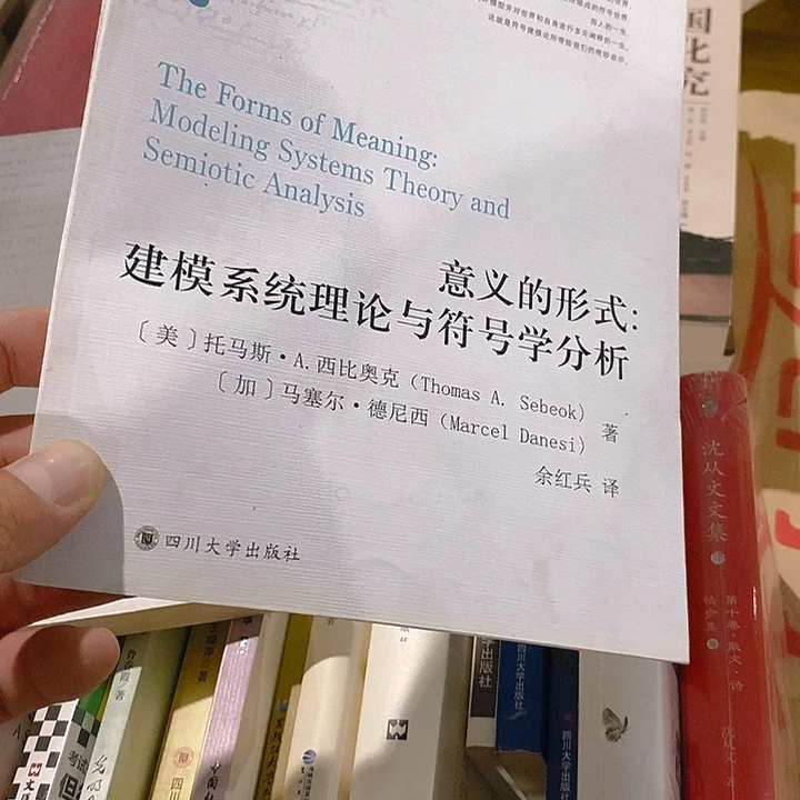 意义的形式……符号学分析