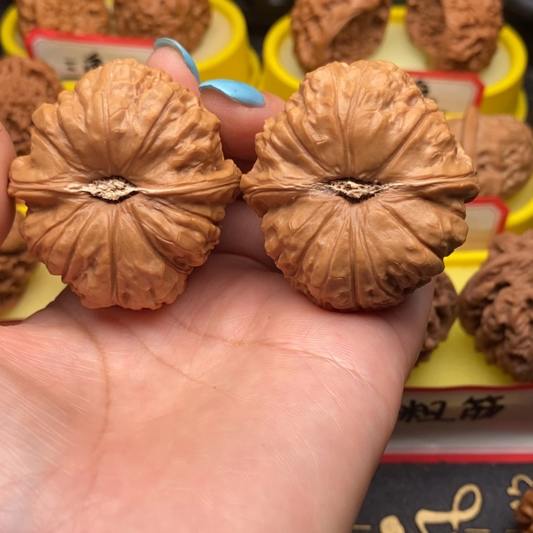 自***志菩提籽类南瓜墩墩