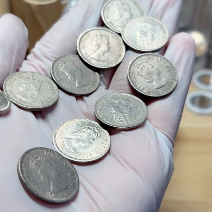 其他普通金属10枚，女王白5豪流通品