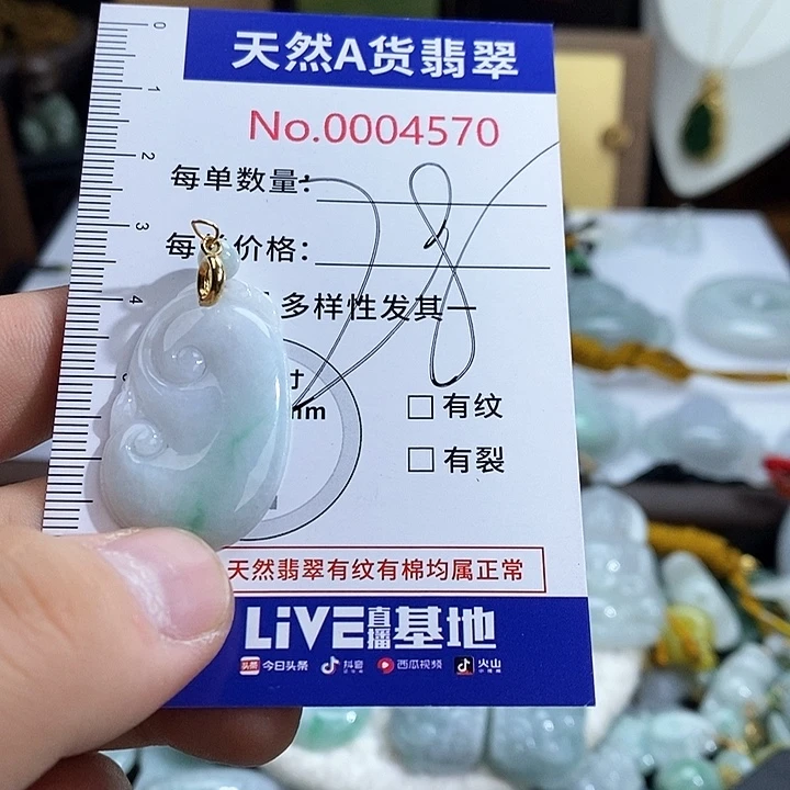 翡翠未镶嵌颈饰4570