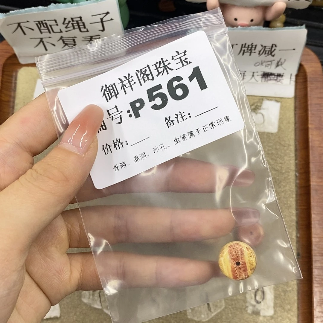 硅化珊瑚（珊瑚玉）未镶嵌颈饰瑞***?