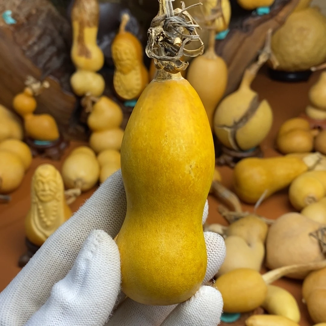 大***牛啦啦啦噜啦噜噜噜噜