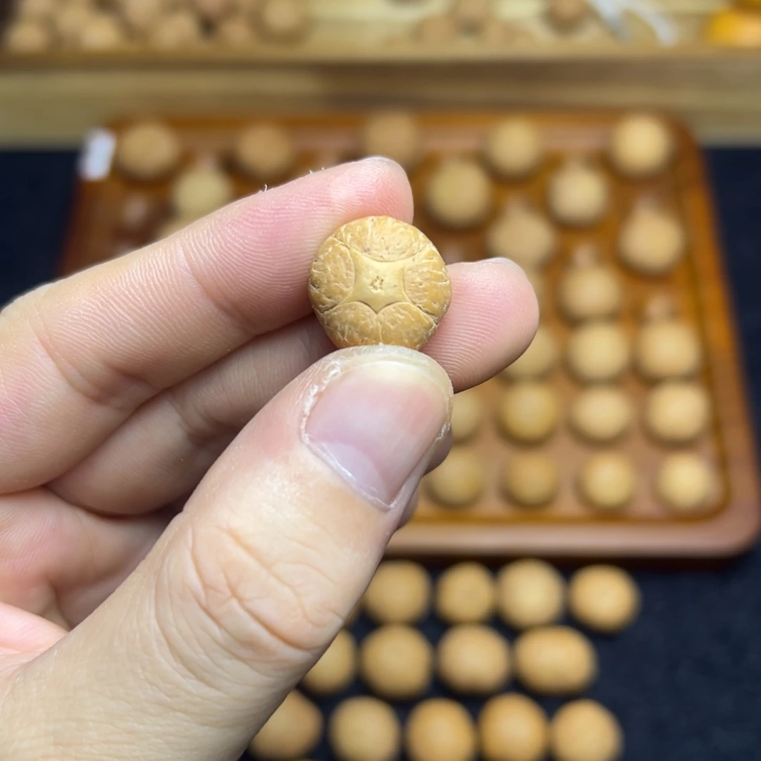 手串凤眼菩提16.4五星上将