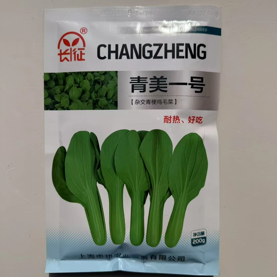 青美一号鸡毛菜种子杂交高品质青梗小白菜青菜种子耐热四季播种籽