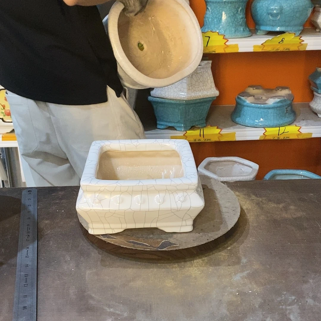 人**茶花盆花盆里的花