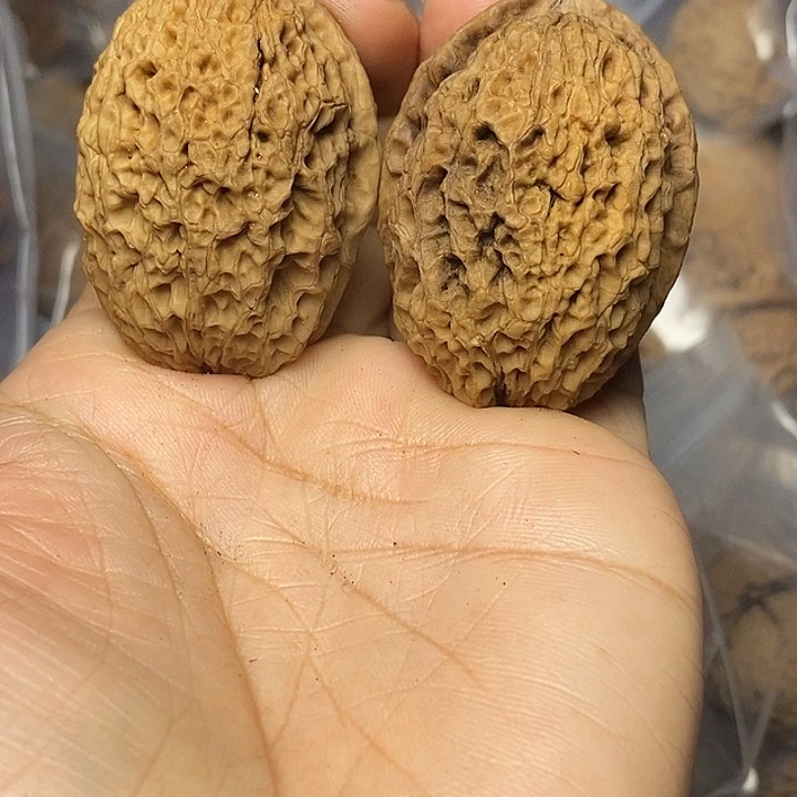 文玩核桃把件云南铁核桃82