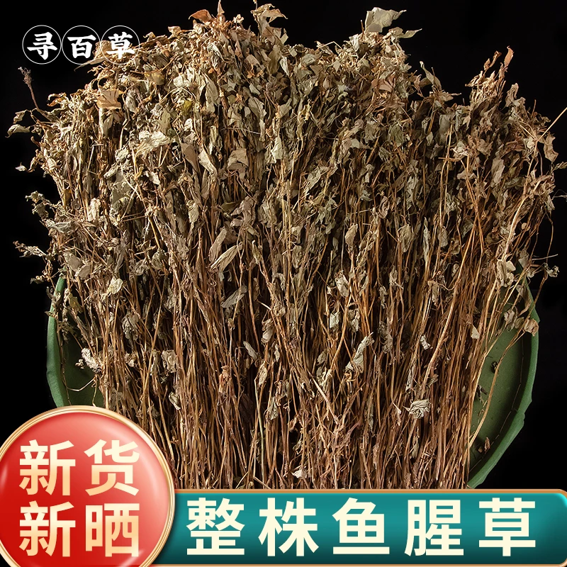 寻百草鱼腥草新鲜折耳根农家鱼腥草干货自然生长鱼腥草泡茶泡水