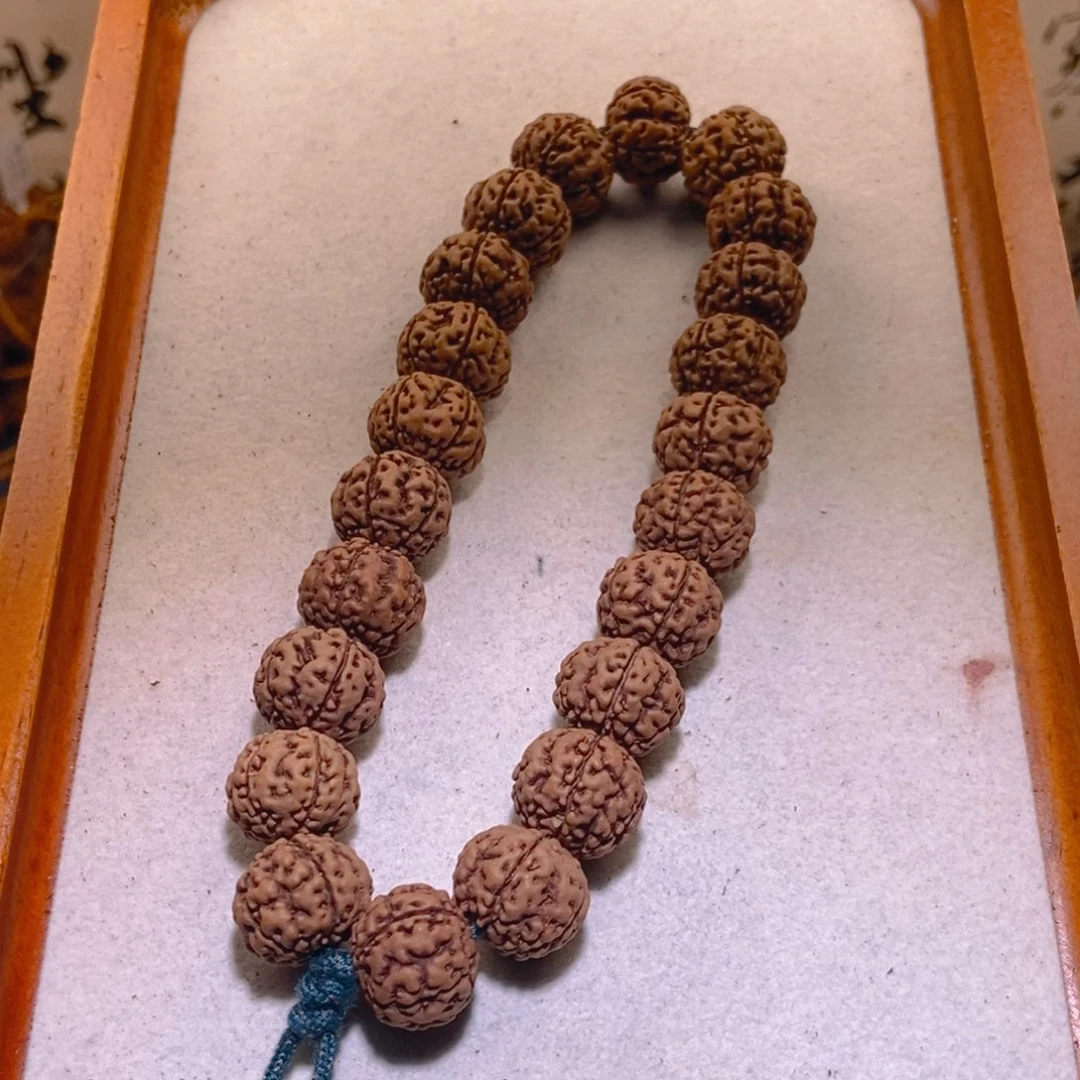 金刚菩提手串023古树龙珠15.5