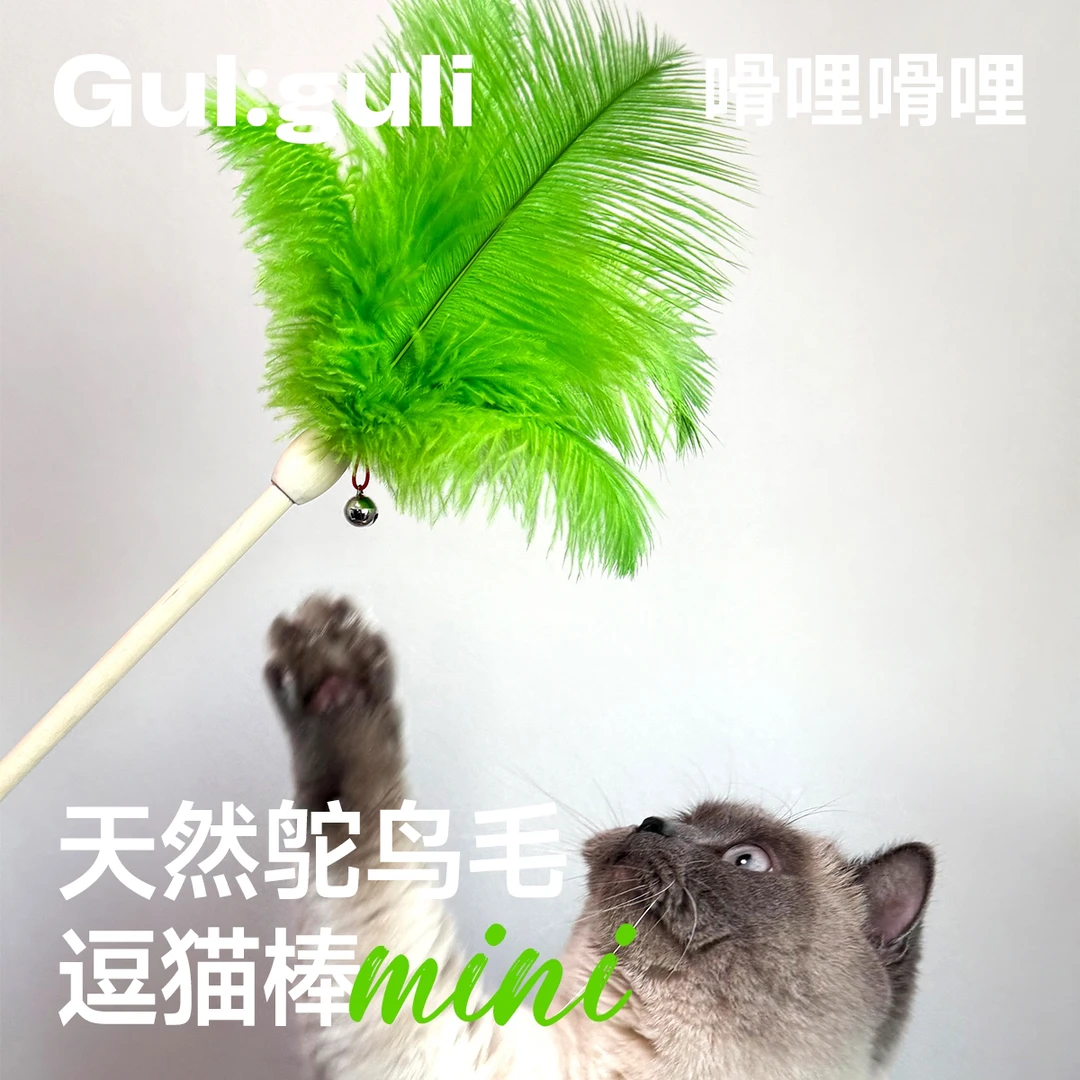 嗗哩嗗哩gul:guli 天然鸵鸟毛逗猫棒咕咕鸡逗猫棒发声魔法棒
