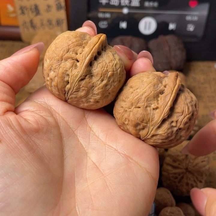听***装一物一拍如图所示编号54