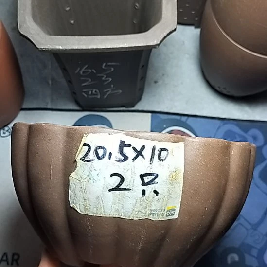 南瓜两个紫砂花盆
