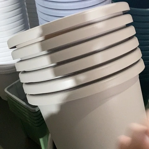 树脂特价5号6个无托灰白