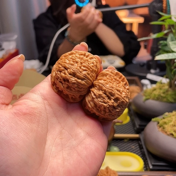 文玩核桃把件白狮子42闪33