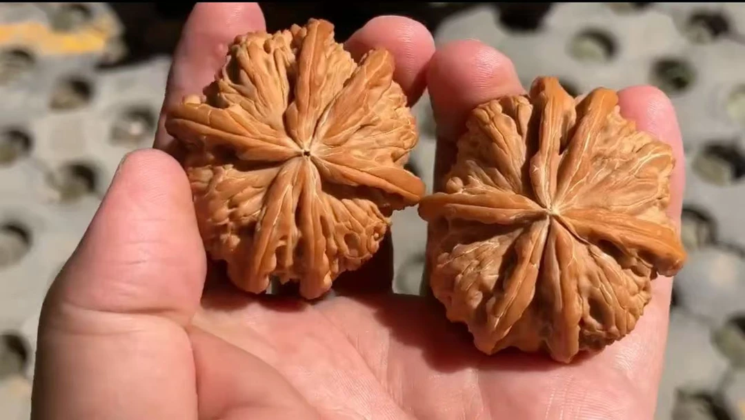 文玩核桃 六棱