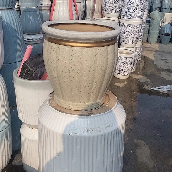 黄南瓜中口31高32福利