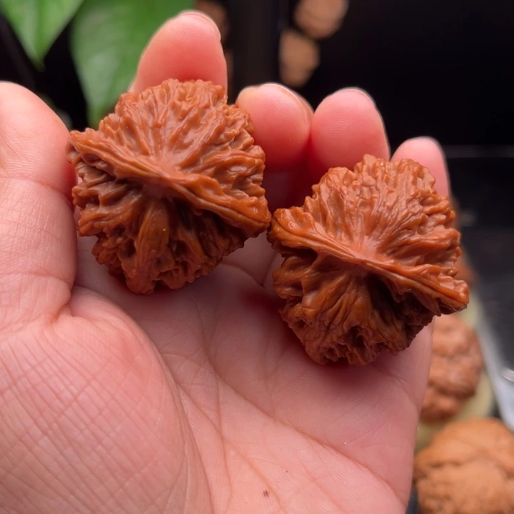 手串桃核纯野生自留款
