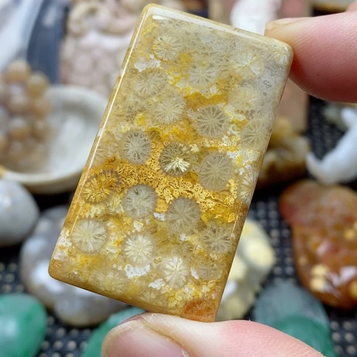 硅化珊瑚（珊瑚玉）颈饰未镶嵌周*