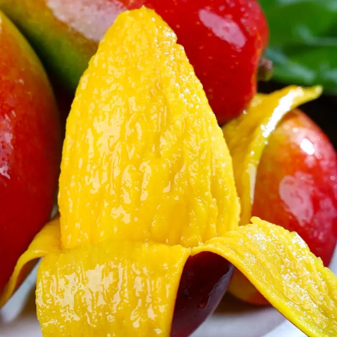 【主播力荐】海南贵妃芒头茬新果香甜多汁皮薄核小5-9斤