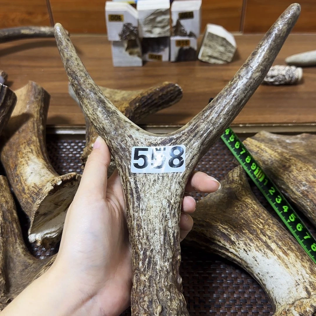 鹿骨手串/手链558弹弓14.5*17.5*3.5cm