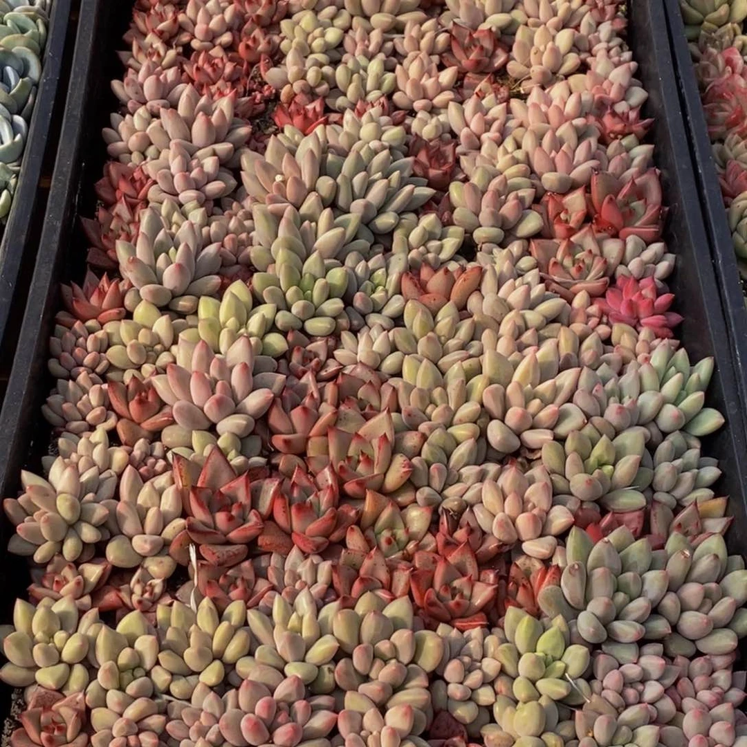 筱*367的人都在一起的时候就这样吧