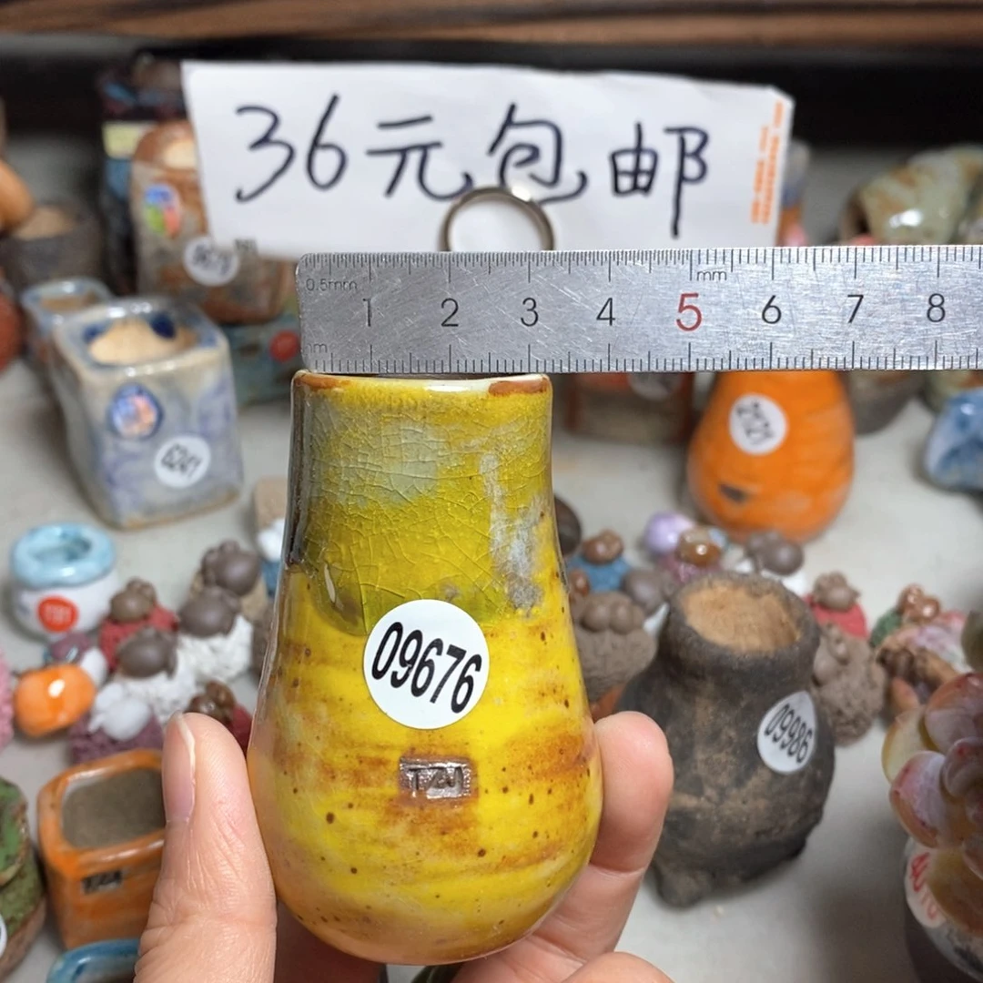 拍5送一个小礼物