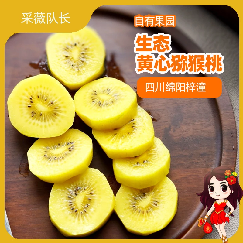 精品大果生态黄心猕猴桃18个自有果园直发酸甜软糯多汁奇异果礼盒