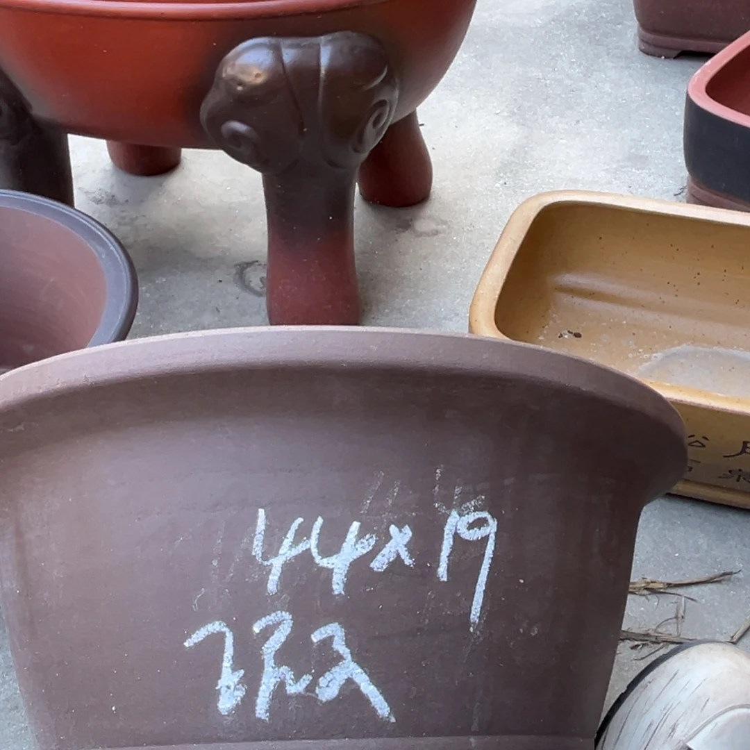 紫砂花盆盆景艺术