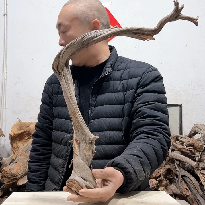 柏木明**明我们都是好孩子啊我