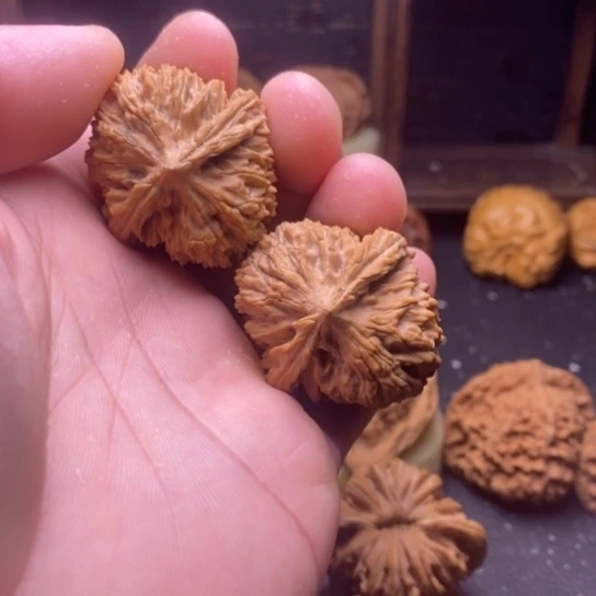 文玩核桃全品状元冠36
