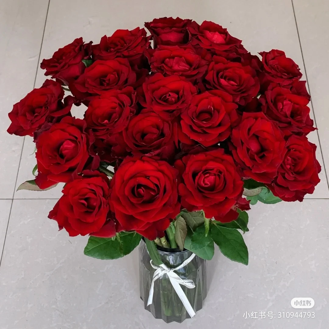 【传奇玫瑰】高等级玫瑰/全场1单送货上门（2单升级顺丰包邮）