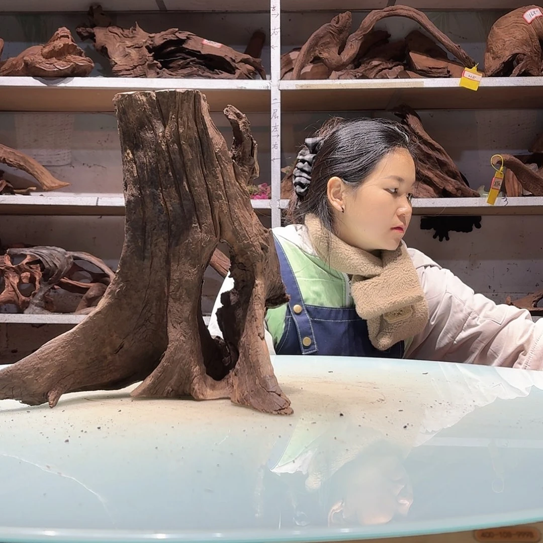 倍褚沉木不包损必褪色冷*6069