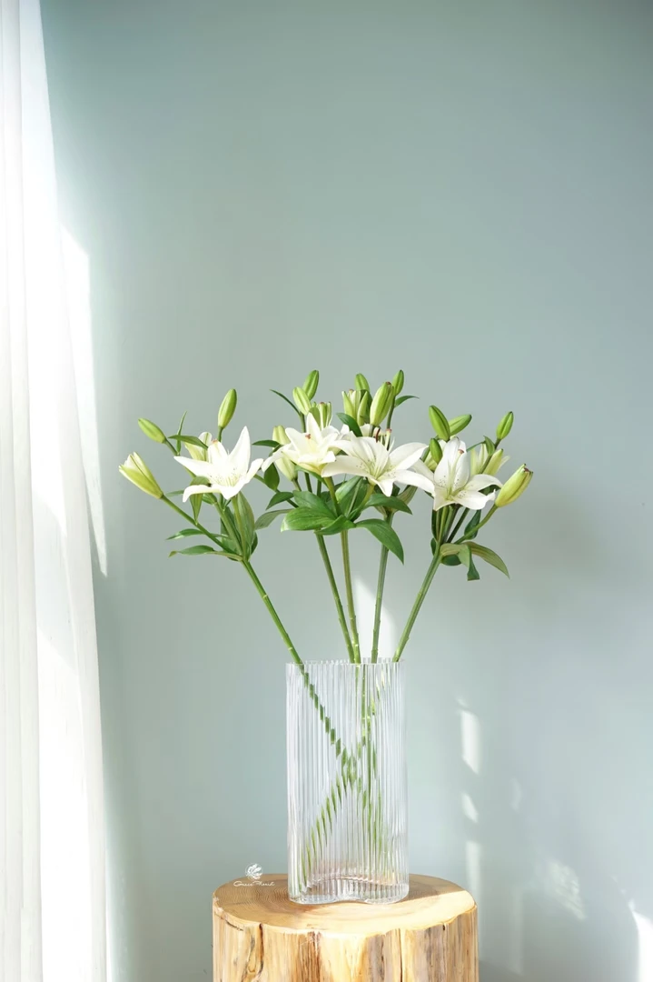 云蕊【白色亚百合眼线】云南鲜切百合花