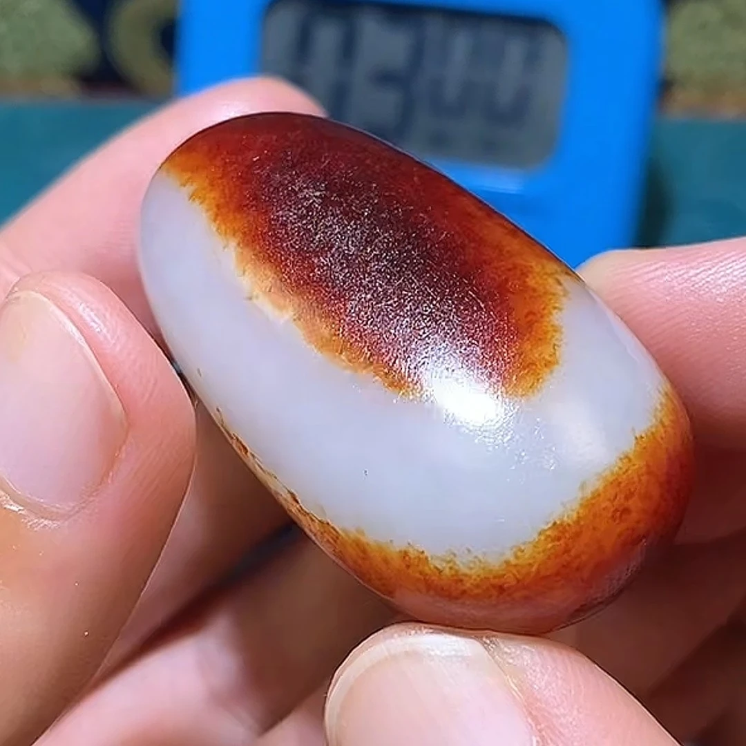 石包多样性拍一发一10月22日 A7