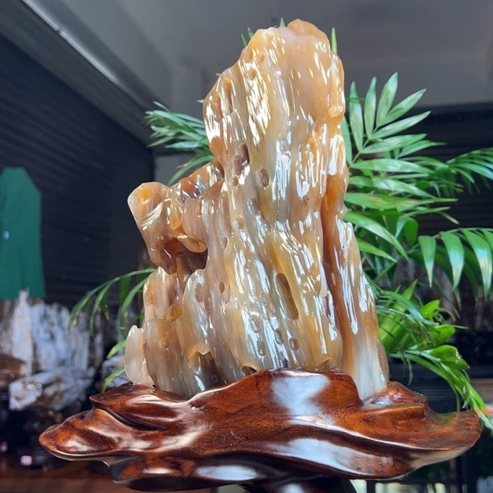 硅化玉（树化玉）未镶嵌珠宝奇石