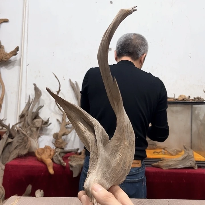 柏木王*九我们都是好孩子呀我也是想