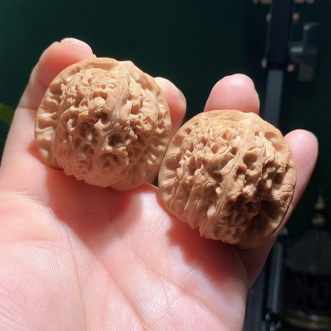 把件文玩核桃41.8血麒麟全品