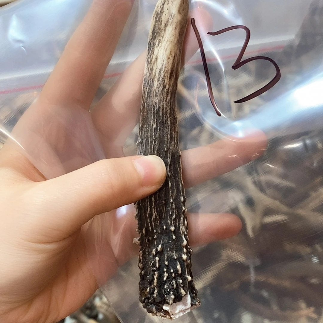 微瑕鹿鹿角鹿角鹿角鹿