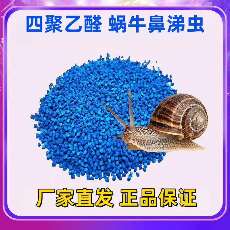 蜗牛大棚蔬菜蜗牛福寿螺花卉果园甘蓝地蛞蝓鼻涕虫蜗螺净厂家批发