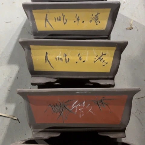 100-5。   微瑕。