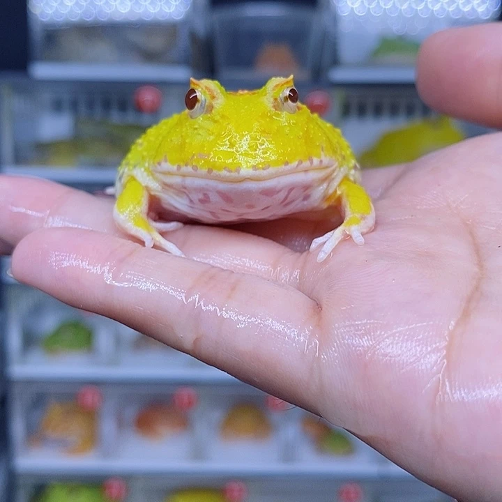 特价秒杀现货特价残