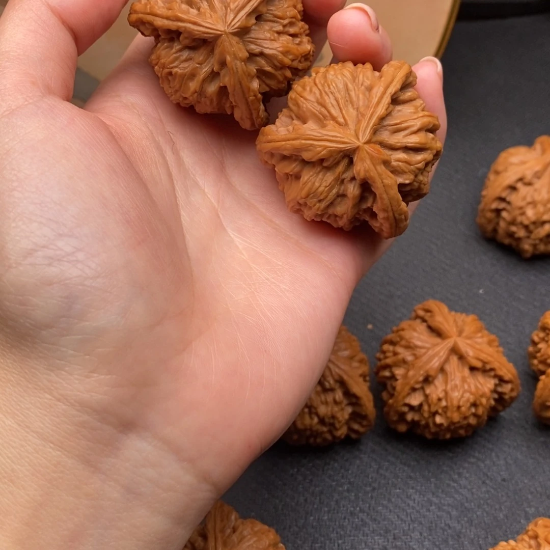 福**下白狮子11111111