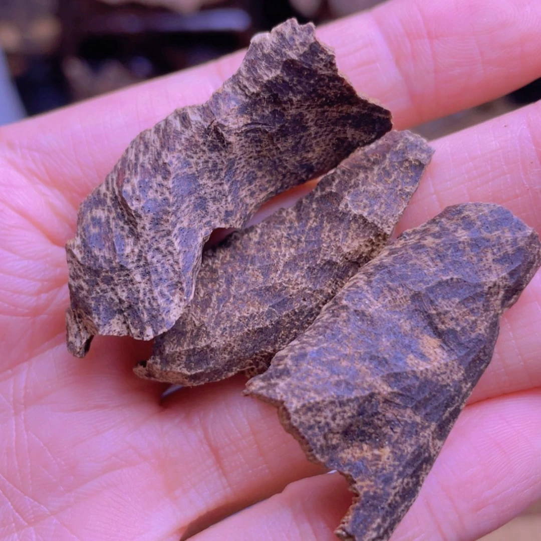 【闪购商品】香榧木海南尖峰岭沉水鸡母虫漏3克