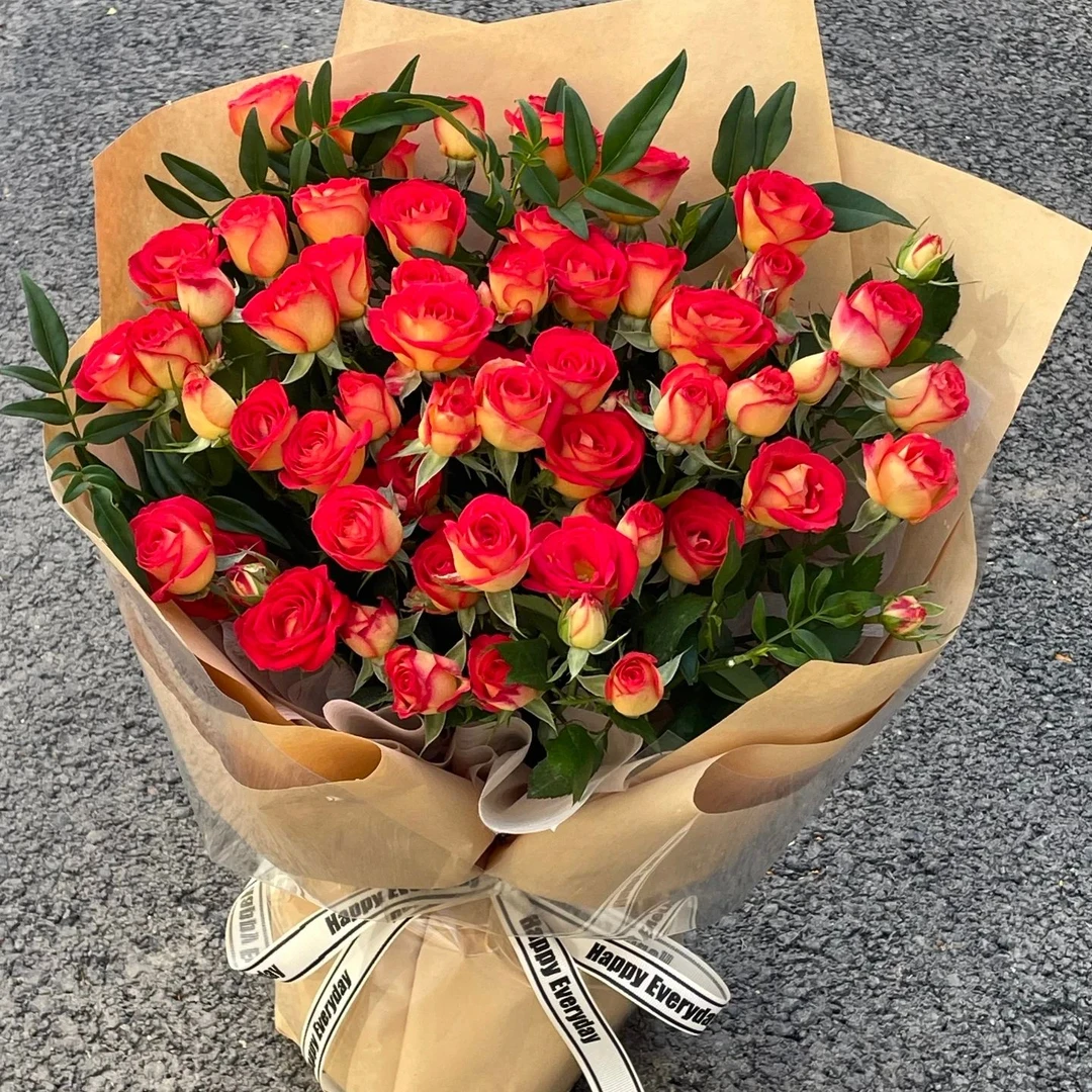 【星云花匠]精选爱丽丝玫瑰花