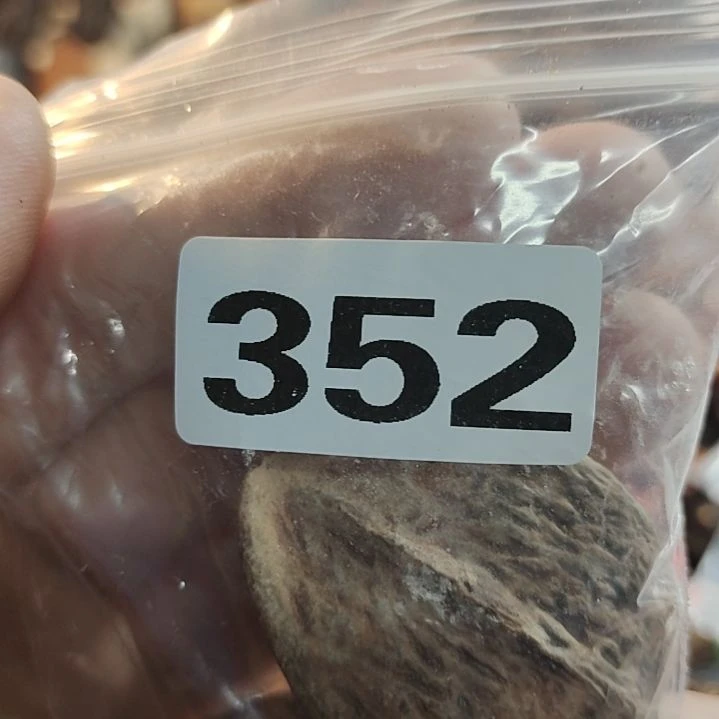 文玩核桃吊坠樱****7文玩核桃