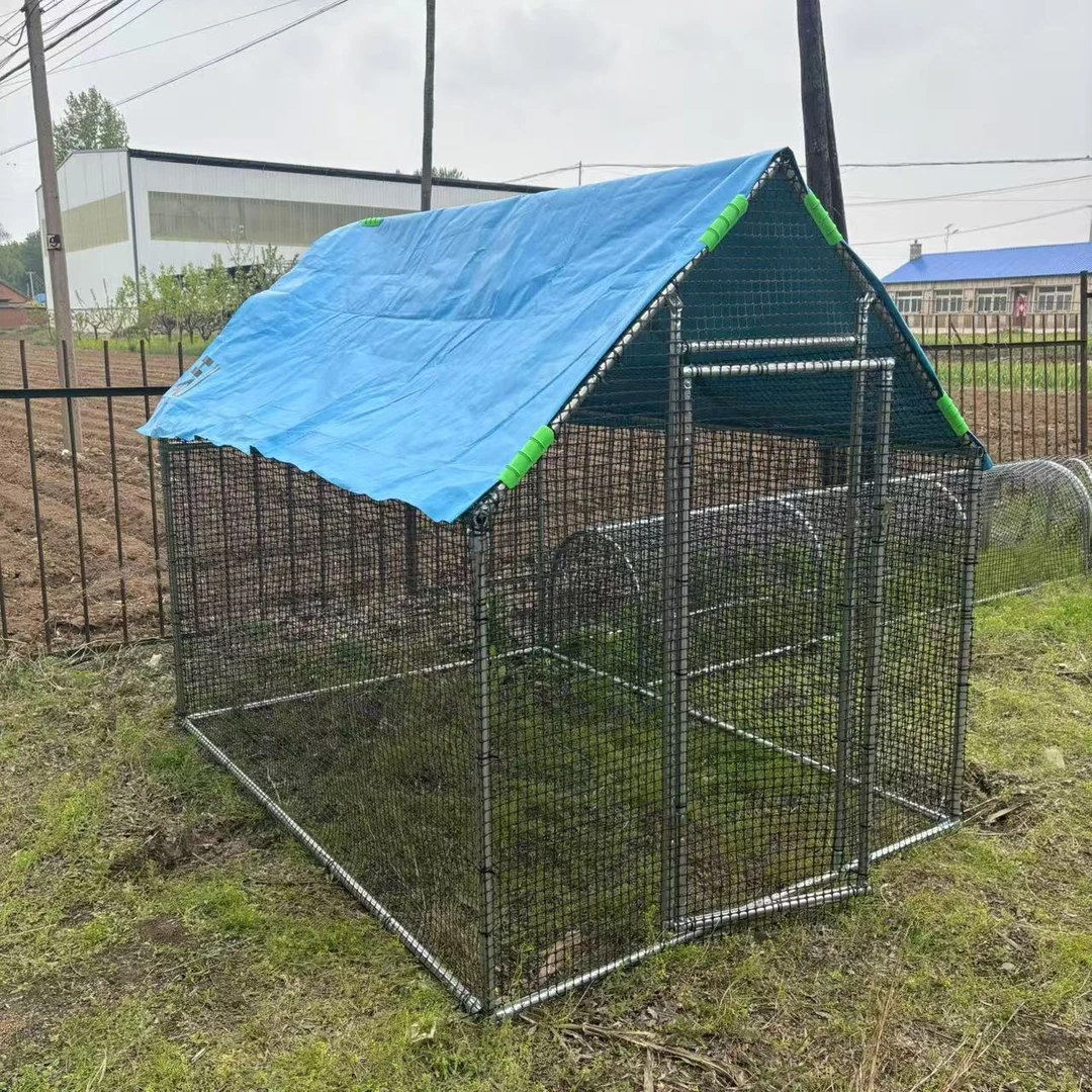 鸡棚鸡笼子户外家禽养殖笼遮雨棚骨架挡风防雨防晒简易棚搭建鸽笼