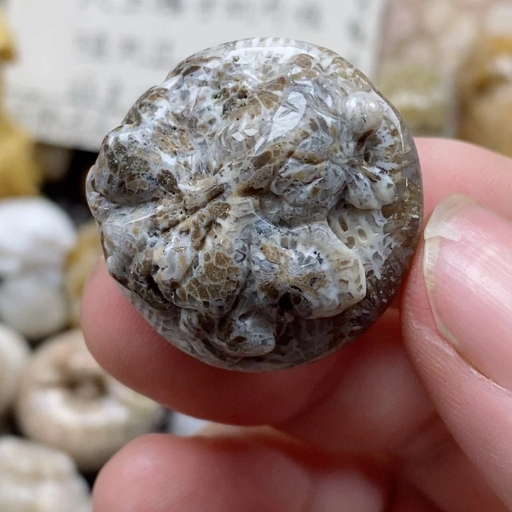 颈饰未镶嵌硅化珊瑚（珊瑚玉）有瑕 小